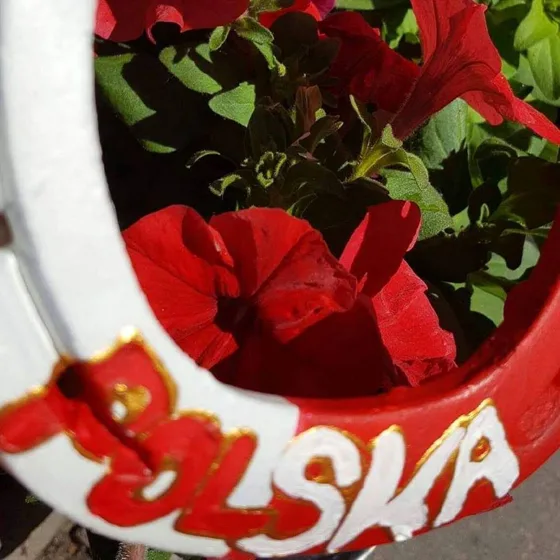 Zbliżenie biało-czerwonej podkowy ze złocistym napisem „Polska”, wśród czerwonych kwiatów.
