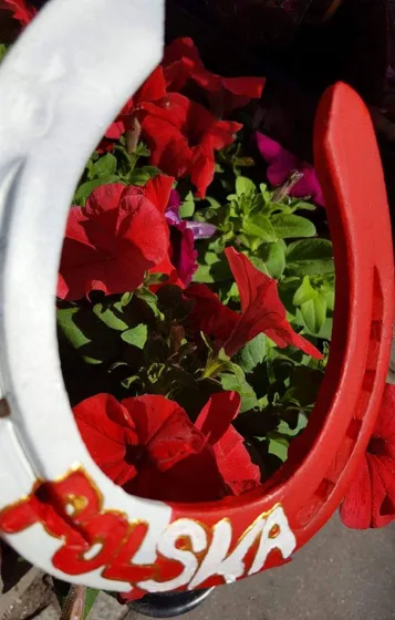 Biało-czerwona podkowa z napisem „Polska”, zawieszona przy czerwonych pelargoniach.