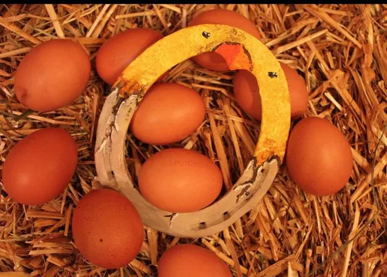 Żółta podkowa z malowanym zającem i drobnymi śladami łap, ułożona w sianie wśród jajek.